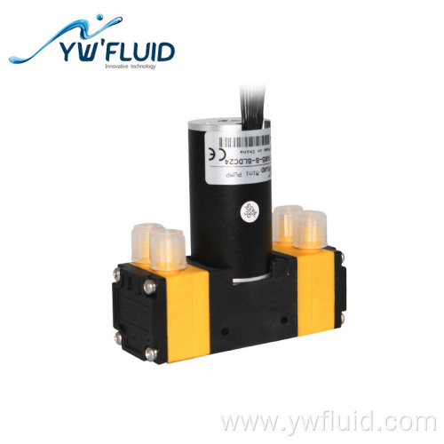 Micro dual-head BLDC diaphragm pump